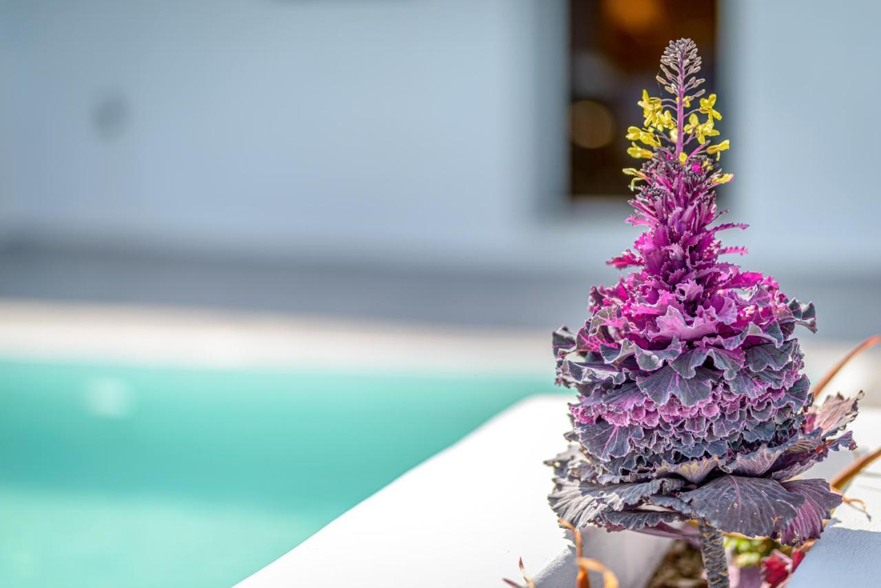 Siete Mares Luxury Suites Imerovigli  Esterno foto